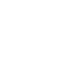 ce logo Essex